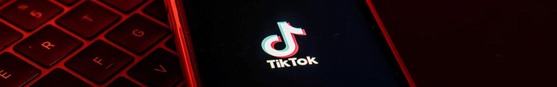 外贸独立站优化Tiktok推广  第2张